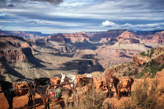 Grand Canyon National Park