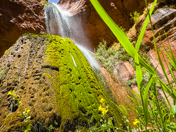 Grand Canyon National Park 