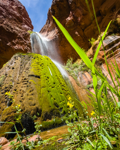 Grand Canyon National Park 