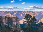 Grand Canyon National Park 