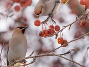 Just Gunna Scooch In Here