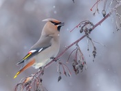 Christmas Eve Photoshoot