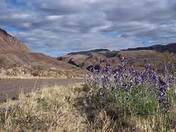 Big Ben National Park