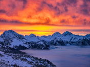 Mt Baker-Snoqualmie National Forest