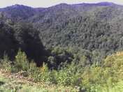 Great Smoky Mountains National Park