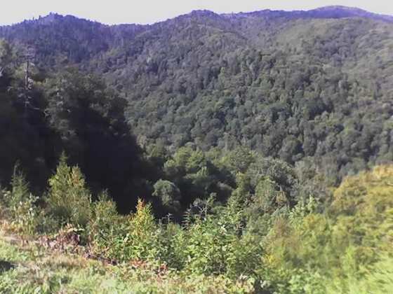 Great Smoky Mountains National Park