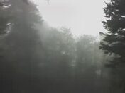 Great Smoky Mountains National Park