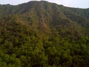 Great Smoky Mountains National Park