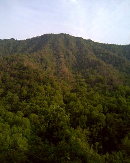 Great Smoky Mountains National Park