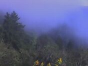 Great Smoky Mountains National Park