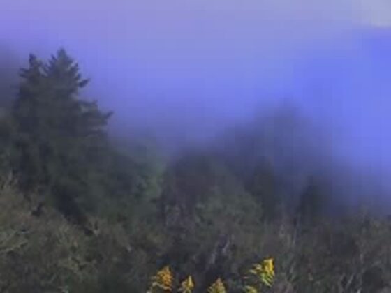 Great Smoky Mountains National Park