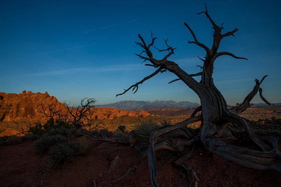 Arches National Park
