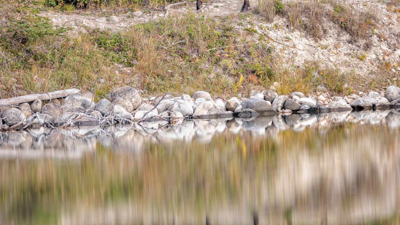 Along the Reflection