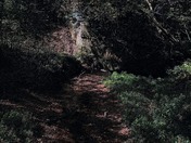 Kankakee National Wildlife Refuge and Conservation Area