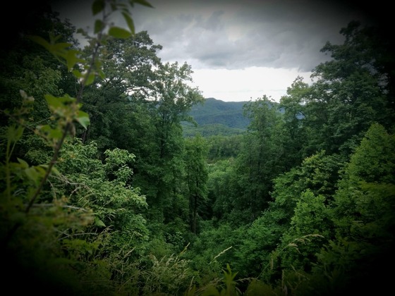 Great Smoky Mountains National Park