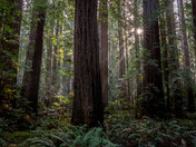 King Range National Conservation Area