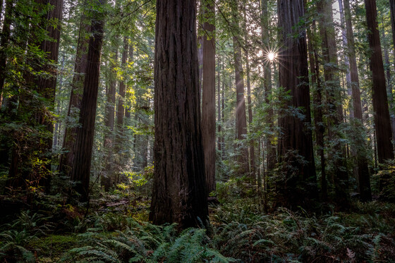 King Range National Conservation Area