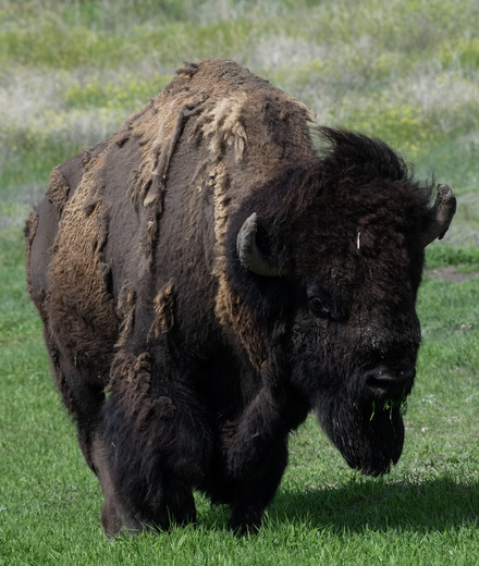 Badlands National Park