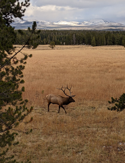 Yellowstone National Park