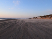 Oregon Dunes National Recreation Area