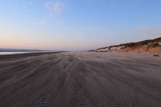 Oregon Dunes National Recreation Area