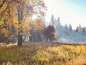 Yosemite National Park