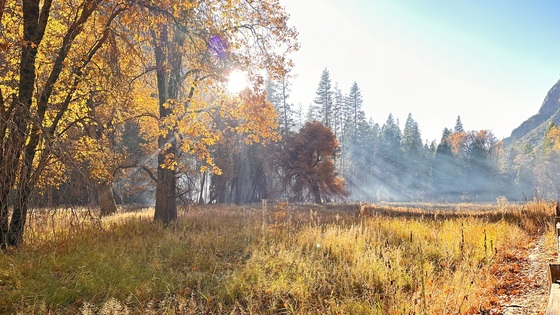 Yosemite National Park