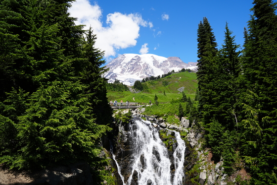 Mt. Rainier National Park 