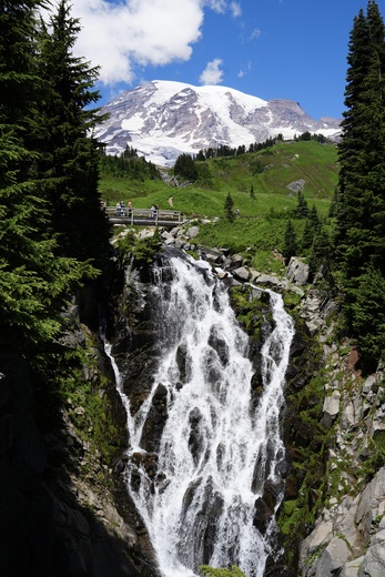 Mt. Rainier National Park 