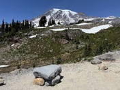 Mt. Rainier National Park 