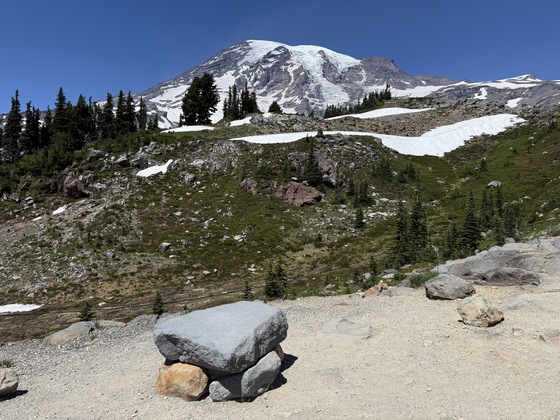 Mt. Rainier National Park 