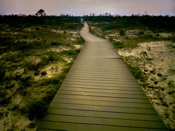 Gulf Islands National Seashore