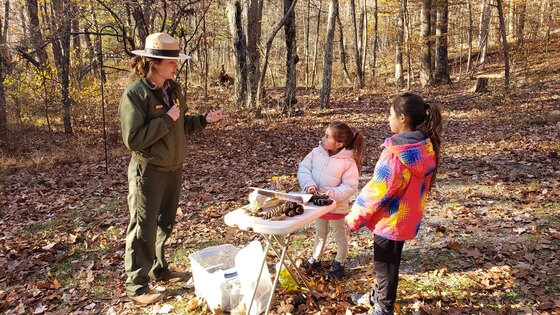 Shenandoah National Park
