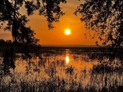 LowCountry Marsh Lands