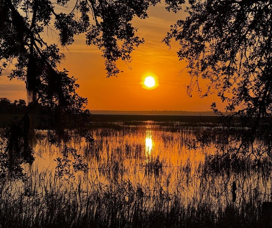 LowCountry Marsh Lands