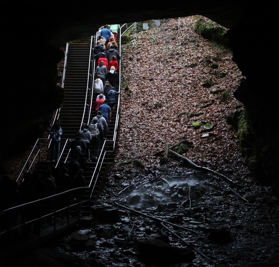 Mammoth Cave National Park