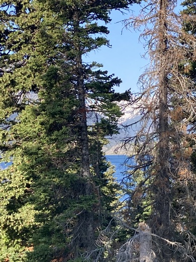 Glacier National Park