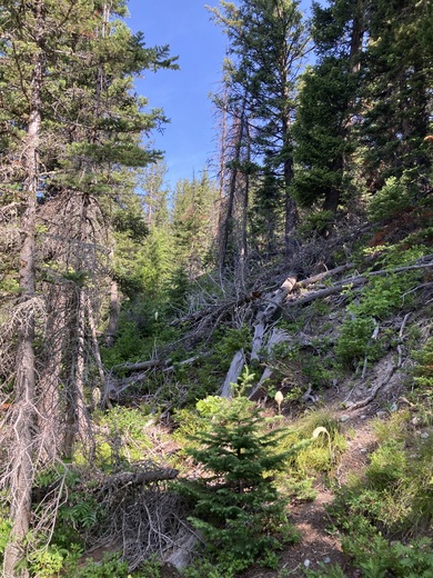 Glacier National Park