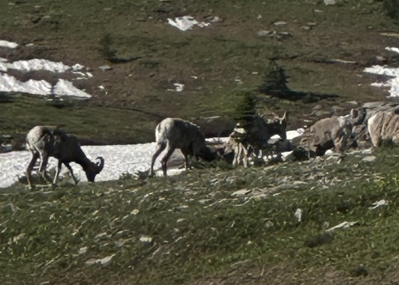 Glacier National Park