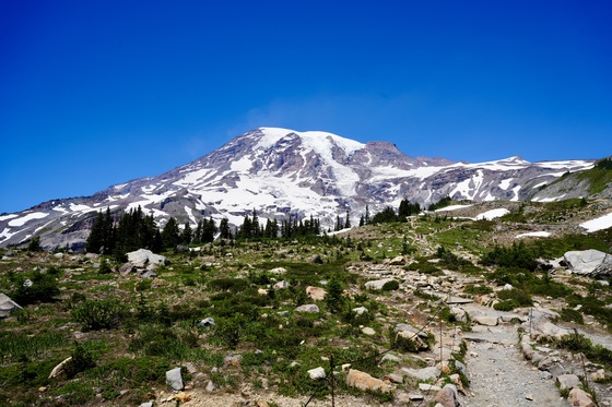 Mt. Rainier National Park