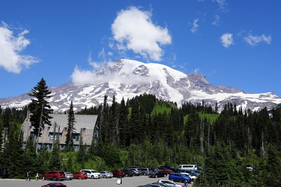 Mt. Rainier National park