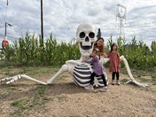 Mt. Rainier National Park