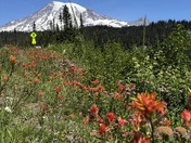 Mt. Rainier National Park