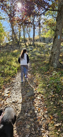 Shenandoah National Park