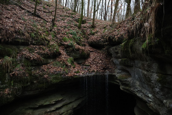 Mammoth Cave National Park