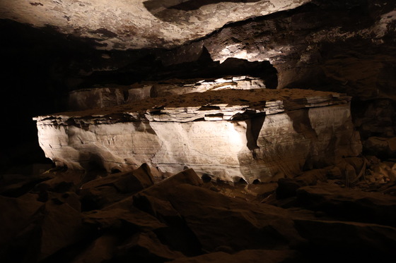 Mammoth Cave National Park