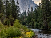 Yosemite National Park 