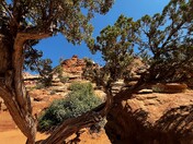 Zion Park National Park