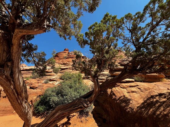 Zion Park National Park