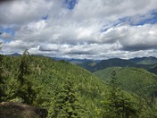 Olympic National Forest